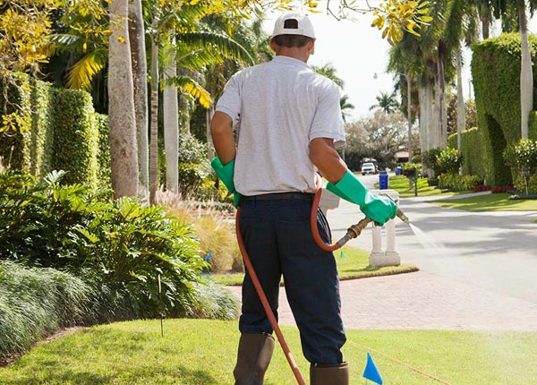 About Evanston IL Pest Control